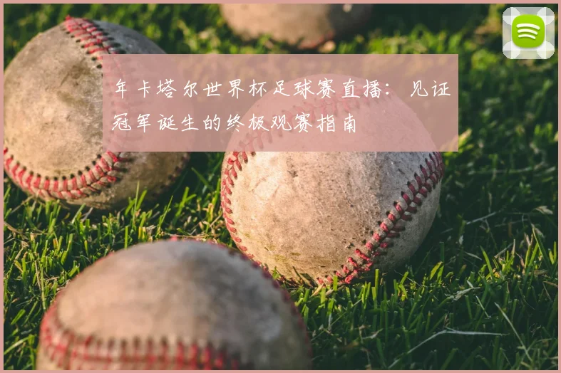 年卡塔尔世界杯足球赛直播：见证冠军诞生的终极观赛指南