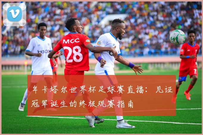 年卡塔尔世界杯足球赛直播:见证冠军诞生的终极观赛指南